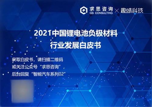 求思咨詢與趣味科技聯(lián)合發(fā)布《2024年鋰電池負(fù)極材料技術(shù)白皮書》 技術(shù)演進與產(chǎn)業(yè)變革深度解析